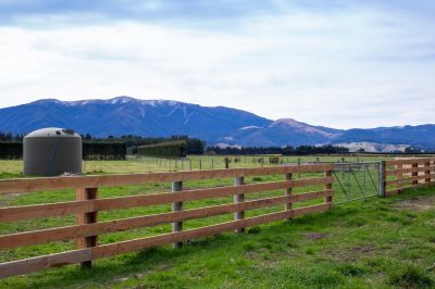 Controlled Grazing