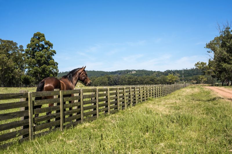 Horse Fence Replacement in Sacramento, CA
