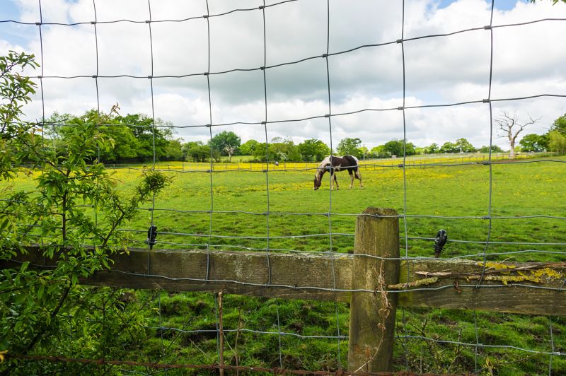 Cost of Farm Fencing — Cost of Farm Fencing