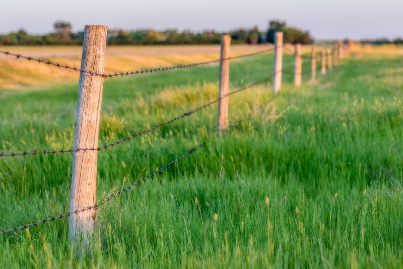 Cost of Farm Fencing — Cost of Farm Fencing