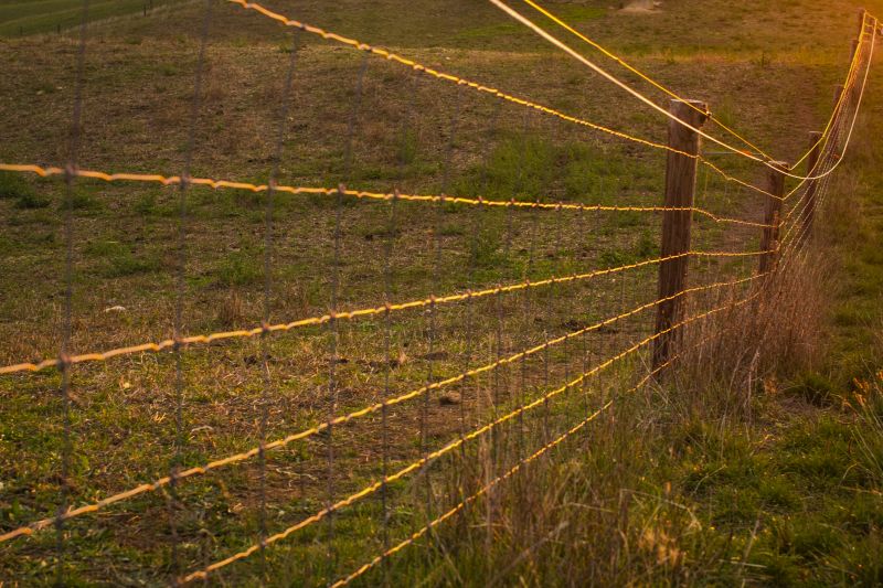 Farm Fencing